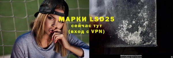твердый Арсеньев