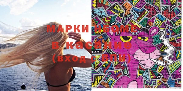 амф Аркадак