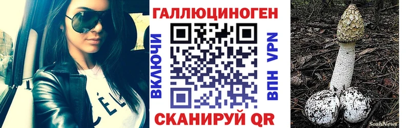 hydra вход  что такое наркотик  Собинка  Псилоцибиновые грибы Psilocybine cubensis 